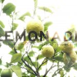 こういうスキートリップしてみたい!Lemonade – Salomon Freeski TV S7 E05(動画あり)